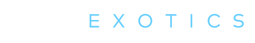 EK2 Exotics logo